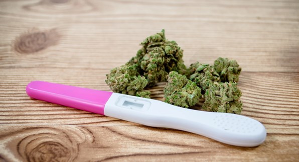 как марихуана скажется на беременности