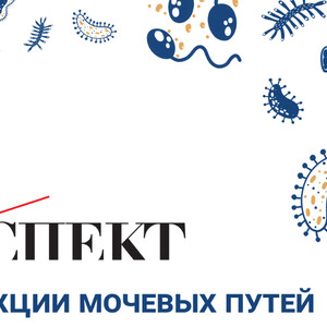 Заседание ДОК «АСПЕКТ». Школа ИМП