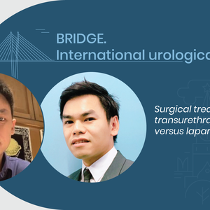 Surgical treatment of BPH: transurethral versus laparoscopy
