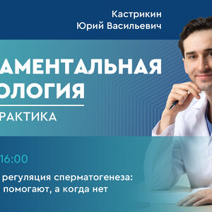 Фундаментальная андрология: наука + практика. Выпуск 6. Гормональная регуляция сперматогенеза: когда анализы помогают, а когда нет