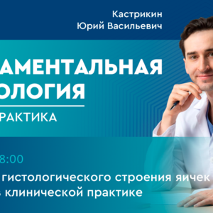 Фундаментальная андрология: наука + практика. Выпуск 7. Как знания гистологического строения яичек помогают в клинической практике