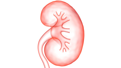 Как минимизировать осложнения при ПКНЛ?