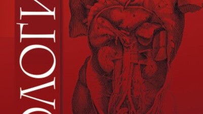 Антиоксиданты в лечении пациентов с воспалительными заболеваниями мужской репродуктивной системы, осложненными экскреторно-токсической формой бесплодия