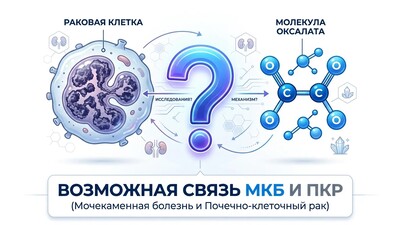 Оксалаты и почечноклеточный рак: раскрыт механизм взаимодействия