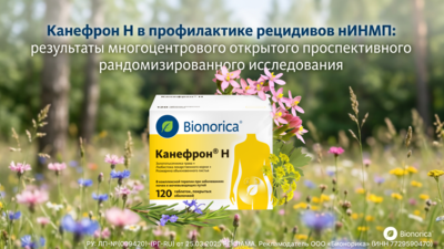 Канефрон Н в профилактике рецидивов нИНМП: результаты многоцентрового открытого проспективного рандомизированного исследования