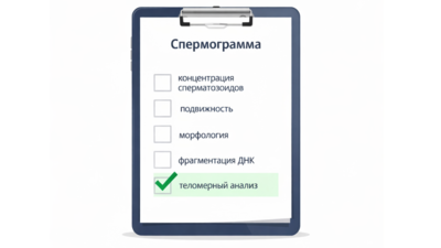 Онкология и теломеры сперматозоидов