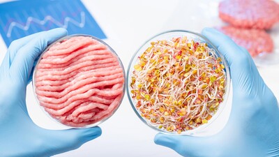 Растительное «мясо» повышает риск мочекаменной болезни