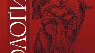 Определение химического состава мочевого камня in vivo по профилю потребления нутриентов