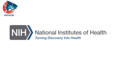 Специальный отчет о будущих исследованиях в области простатита