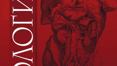 Роль растительных препаратов в литокинетической терапии и метафилактике мочекаменной болезни