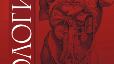 Неантибактериальная терапия и профилактика острого и рецидивирующего цистита: существующие варианты и перспективы