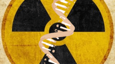 Как защитить яички от радиационного облучения?