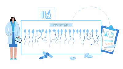 Упростить нельзя отказаться: новые рекомендации по оценке морфологии сперматозоидов