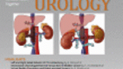 Безопасность интракавернозного введения мононуклеарных клеток костного мозга при эректильной дисфункции после радикальной простатэктомии: открытое пилотное исследование с повышением дозы