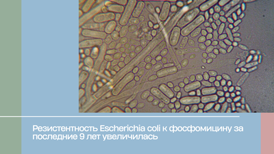 Резистентность Escherichia coli к фосфомицину за последние 9 лет увеличилась