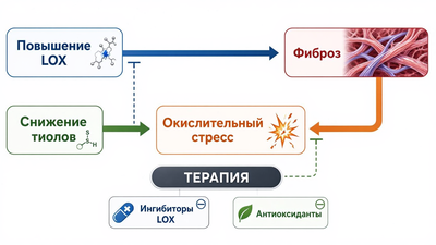 Новый биомаркер болезни Пейрони: роль лизилоксидазы