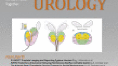 Прогрессирование от генитального инфицирования вирусом папилломы человека до макроскопического поражения наружных половых органов: исследование HIM