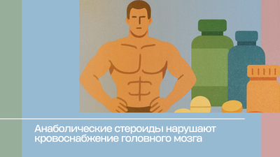 Анаболические стероиды нарушают кровоснабжение головного мозга