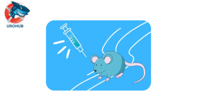 Мужская контрацепция «по требованию»