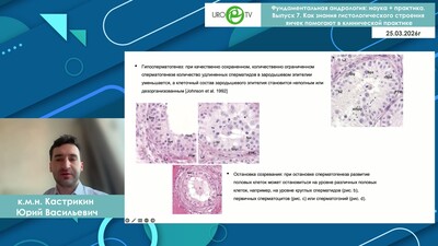 Кастрикин Ю.В. - Как знания гистологического строения яичек помогают в клинической практике