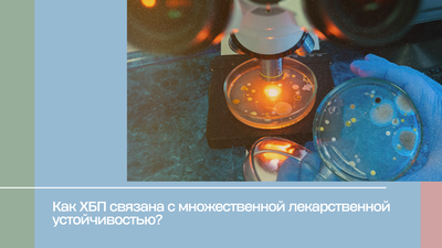 Как ХБП связана с множественной лекарственной устойчивостью?