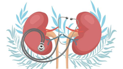 Десмодиум: от народной медицины к доказательной терапии последствий МКБ