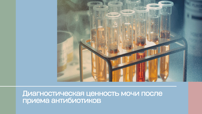 Диагностическая ценность мочи после приема антибиотиков
