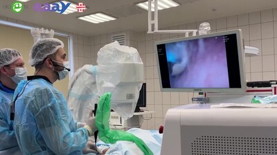 22 марта 2025 года проведены «Рабочие встречи ЕААУ» в городе Курган