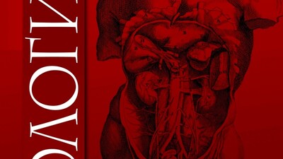 Использование биометрических параметров верхних мочевых путей для планирования оперативных методов лечения нефролитиаза