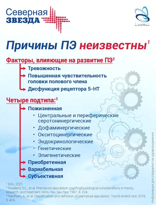 Первичная, преждевременная (ранняя) эякуляция: алгоритм ведения