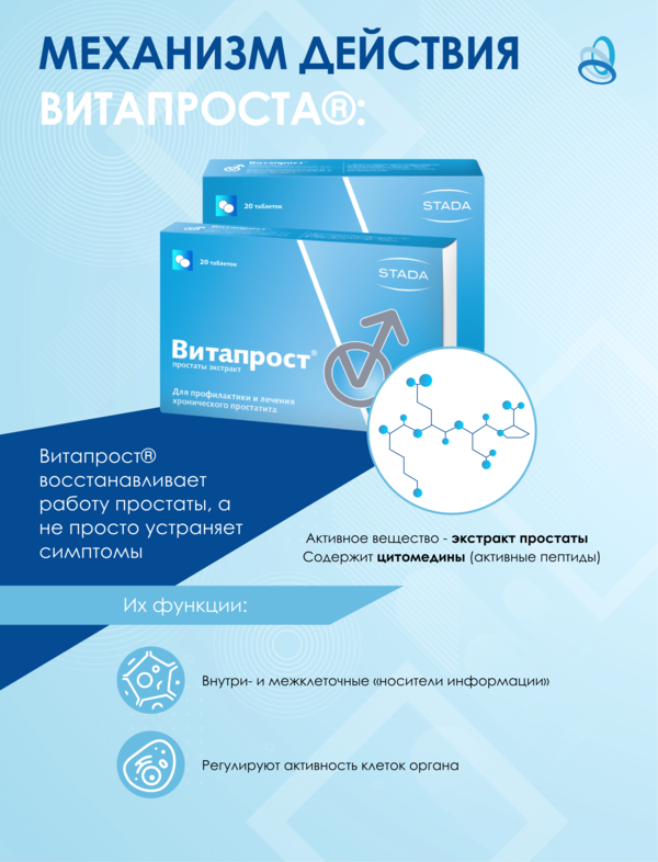 Роль ИППП в развитии простатита