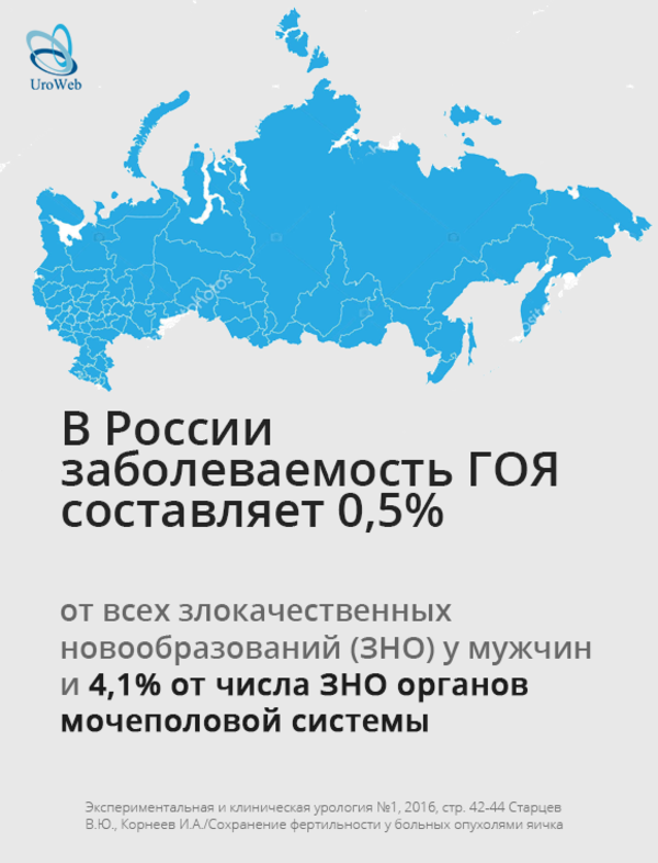 Фертильность у пациентов с раком яичка