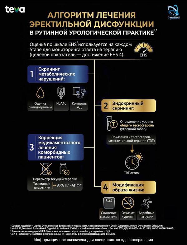 Оценка ригидности полового члена