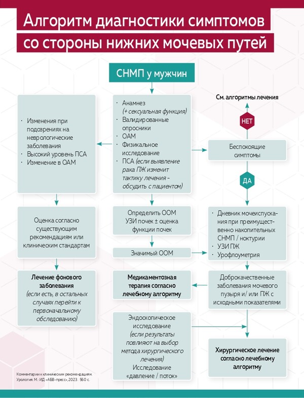 Шаги к улучшению качества жизни пациентов: эффективная терапия симптомов нижних мочевых путей