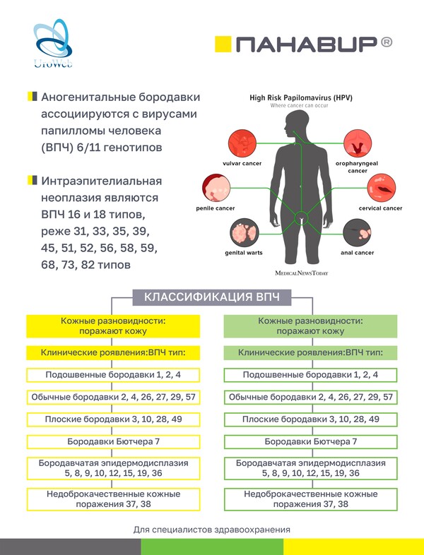 Папилломавирусная инфекция и аногенитальные бородавки в практике уролога