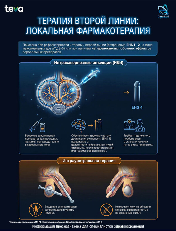 Оценка ригидности полового члена