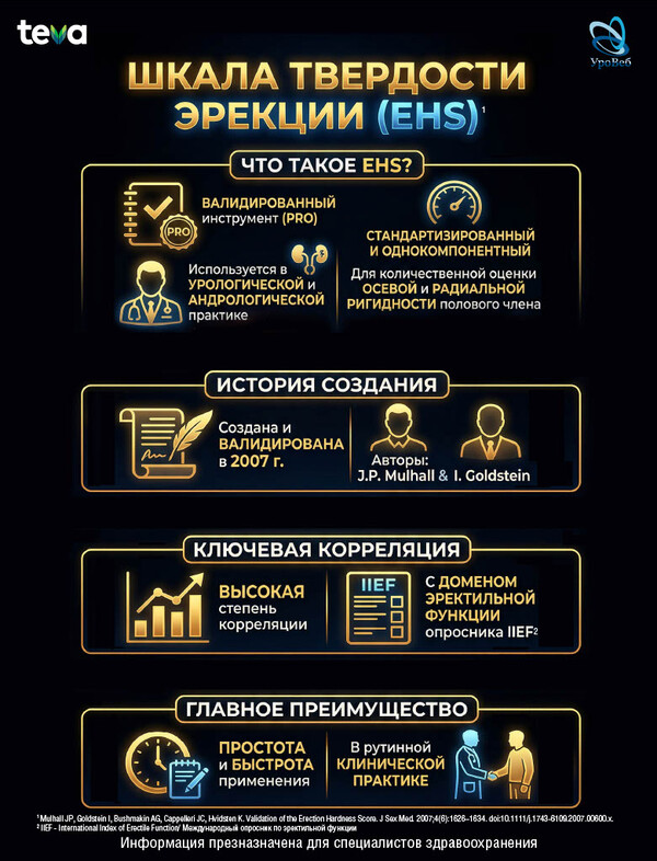 Оценка ригидности полового члена