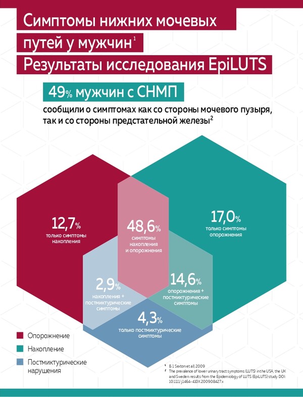 Шаги к улучшению качества жизни пациентов: эффективная терапия симптомов нижних мочевых путей