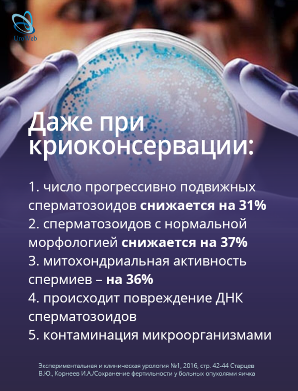 Фертильность у пациентов с раком яичка