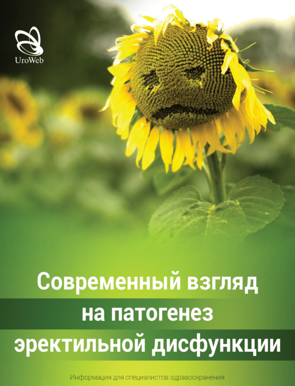 Современный взгляд на патогенез эректильной дисфункции