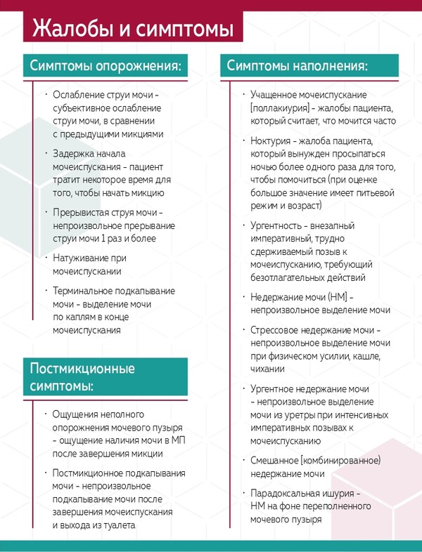 Шаги к улучшению качества жизни пациентов: эффективная терапия симптомов нижних мочевых путей