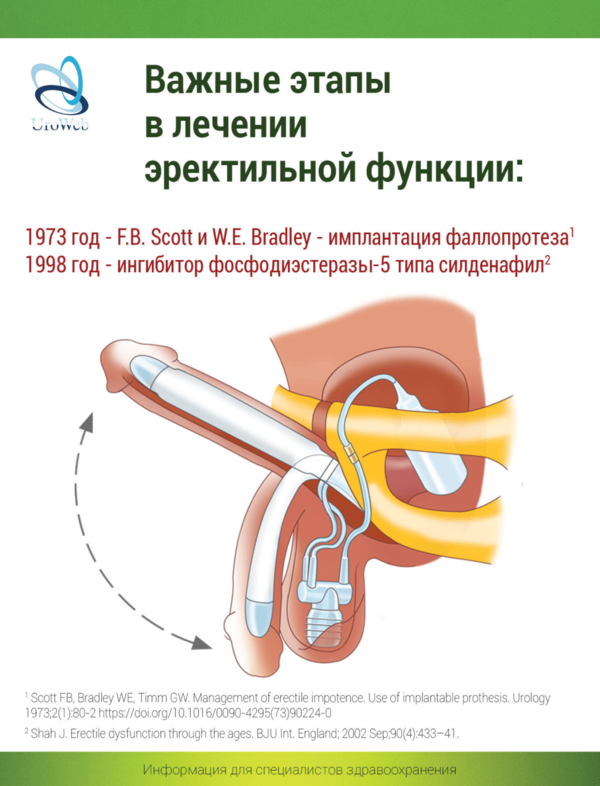 Современный взгляд на патогенез эректильной дисфункции