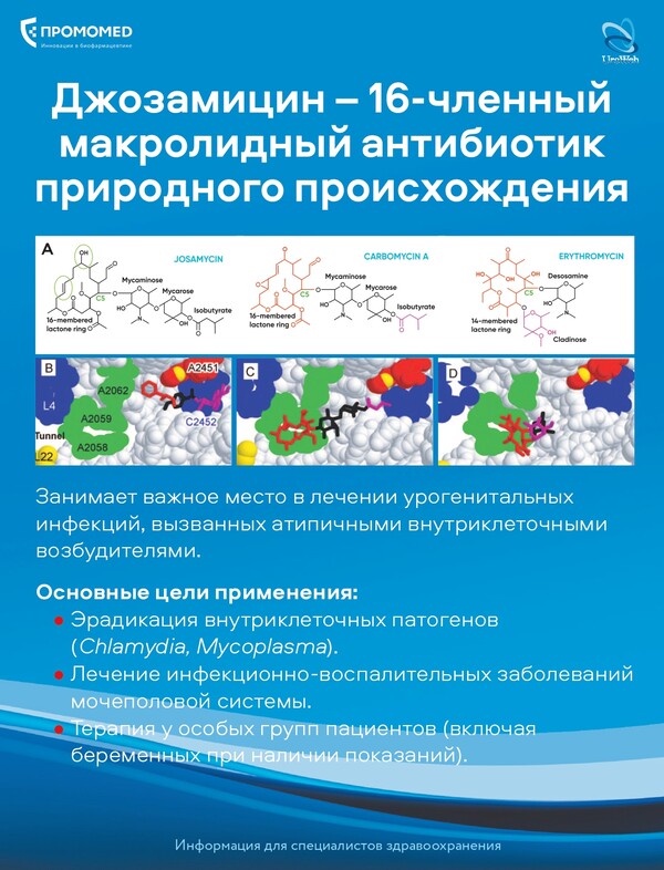 Роль инфекционных агентов в патогенезе бесплодия