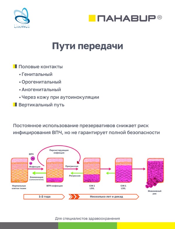 Папилломавирусная инфекция и аногенитальные бородавки в практике уролога