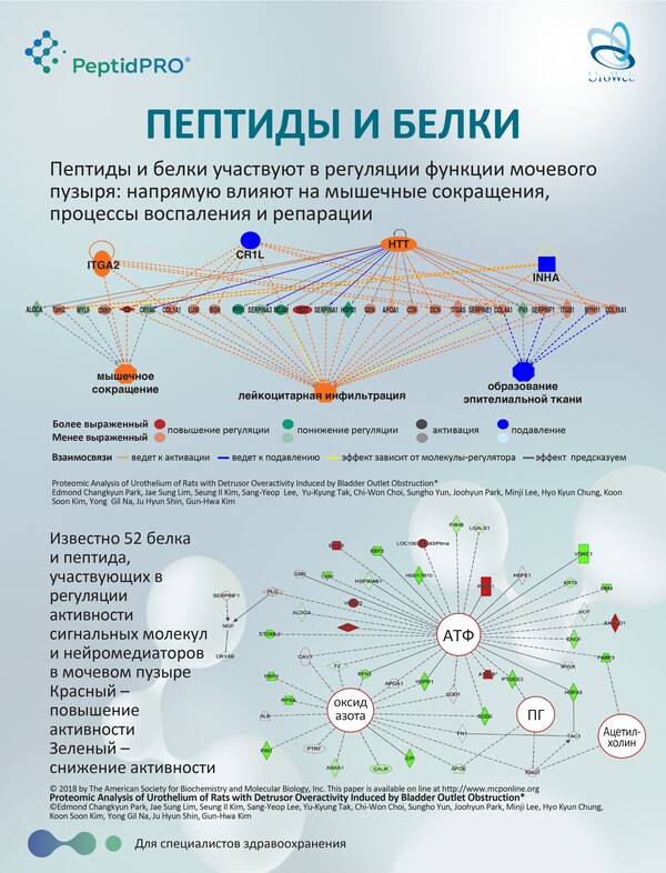 Патогенетическое лечение ГМП
