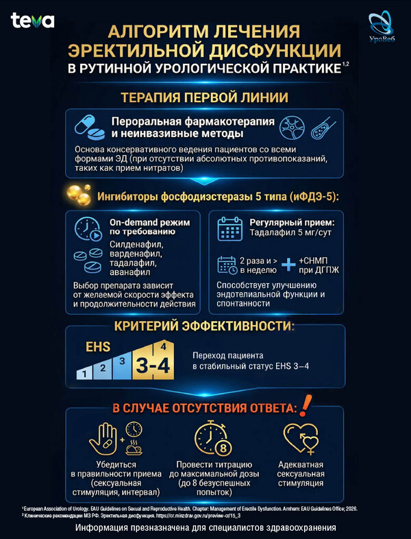 Оценка ригидности полового члена