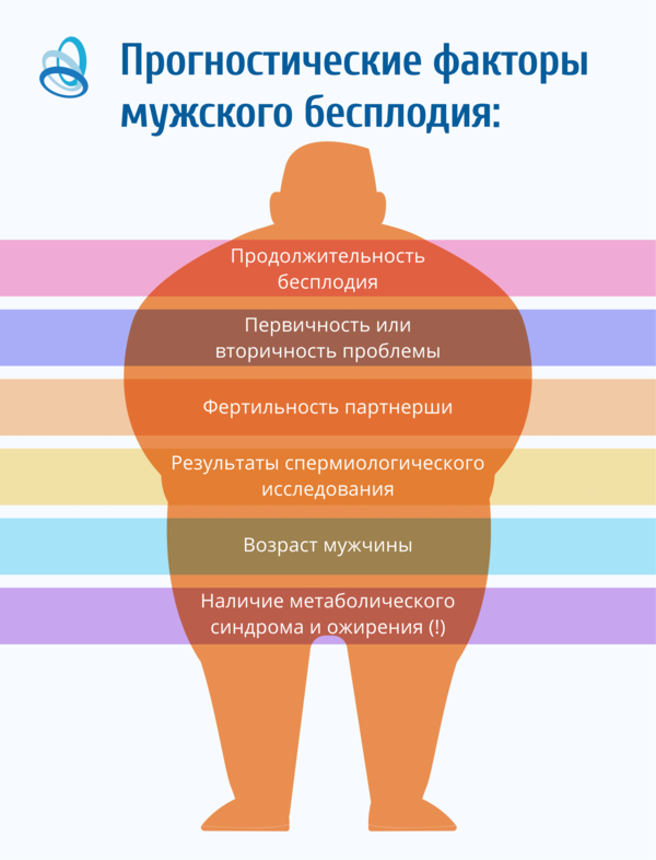 Роль витамина D в профилактике мужского бесплодия