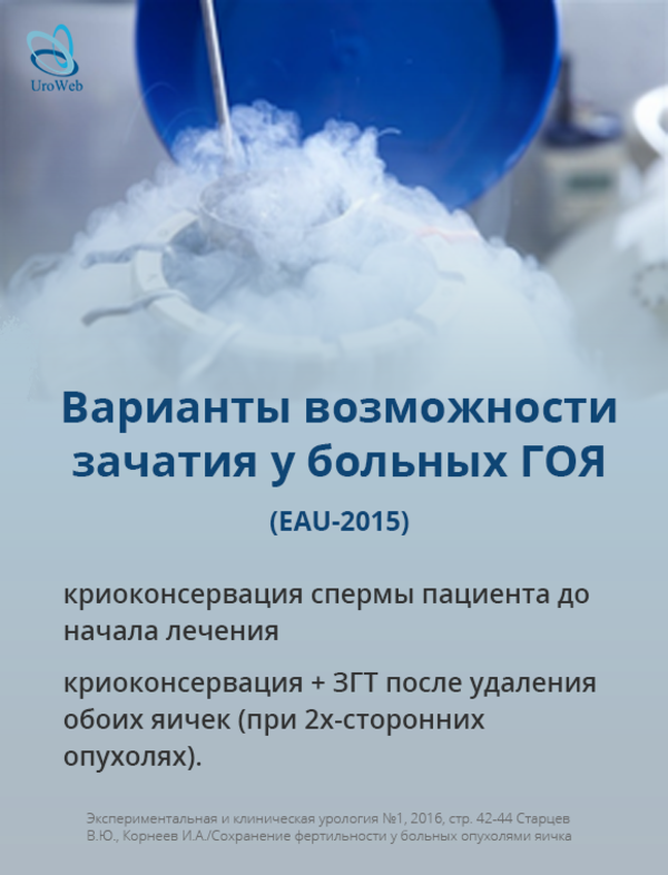 Фертильность у пациентов с раком яичка