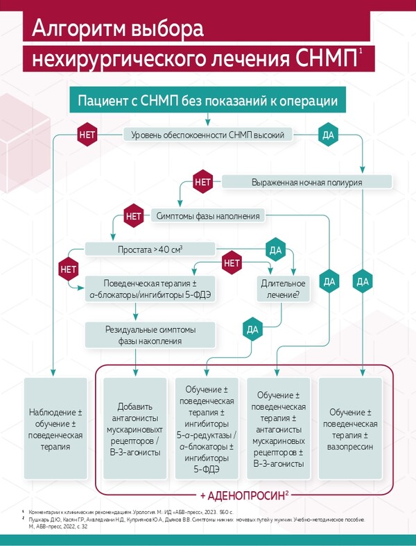 Шаги к улучшению качества жизни пациентов: эффективная терапия симптомов нижних мочевых путей