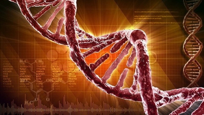 Фрагментация ДНК сперматозоидов – один из основных механизмов развития вторичного мужского бесплодия
